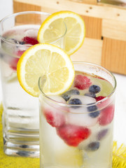 mineral water with fruit frozen in ice cubes