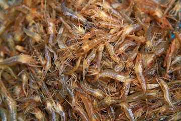 Fresh shrimp,look like background.