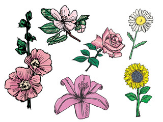 set of flowers