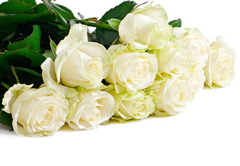 Bouquet of roses isolated on white background