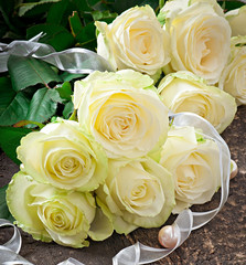 White roses on the wooden backgrounds