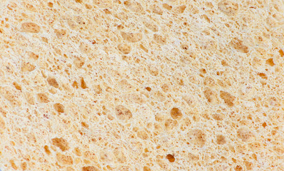 The surface of the sponge