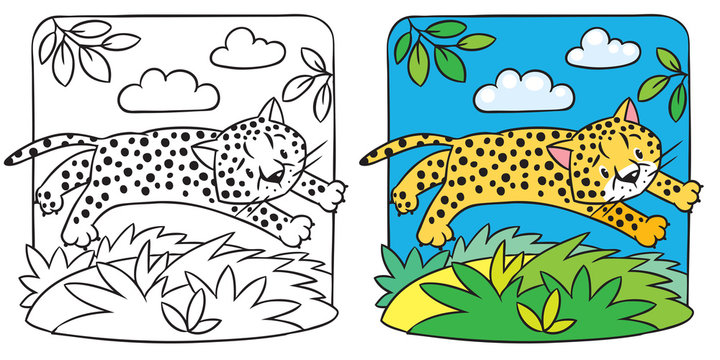 Little cheetah or jaguar coloring book