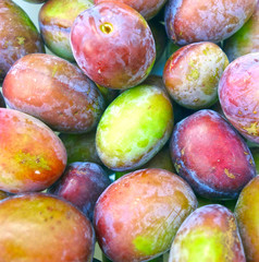 plums