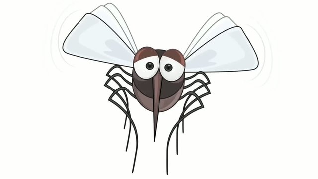 mosquito animation