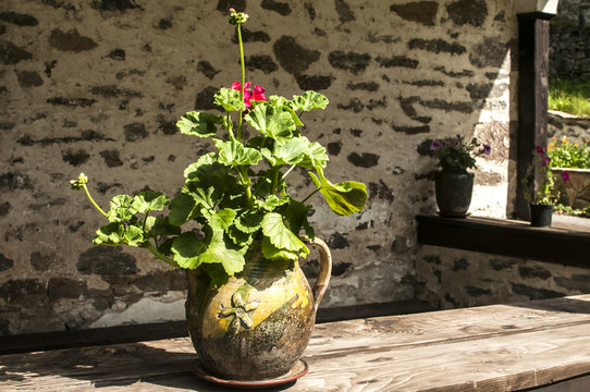 Ceramic flowerpot with geraniums in front of stone church