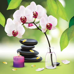 Vector Beautiful Spa Composition With Zen Stones