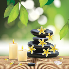Vector Beautiful Spa Composition With Zen Stones