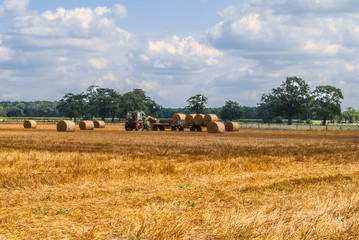 Fototapeta premium Tractor collecting hay bales