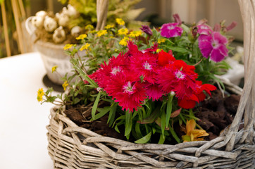 Obraz na płótnie Canvas Bouquet of flowers in basket