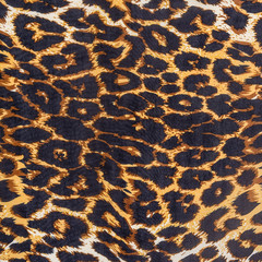 texture of fabric stripes leopard