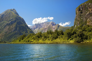 Fototapeta premium wild nature of New Zealand