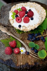 Grain bread with cheese and berries