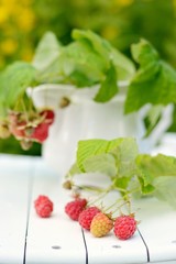 Bouquet of raspberries