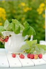 Bouquet of raspberries