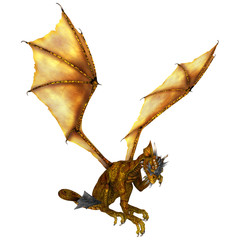 Fototapeta premium Little Dragon