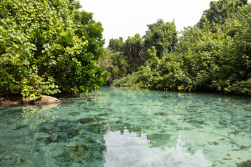Blue Hole, Vanuatu
