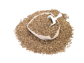 Hemp seeds in a bag with spoon on white background