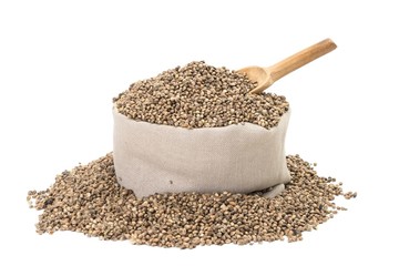 Hemp seeds in a bag with wood spoon on white background
