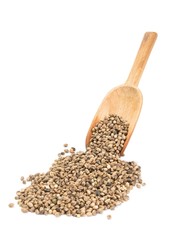 Hemp seeds being poured from a wood spoon on white background