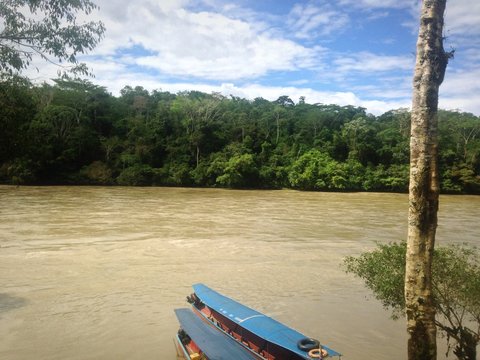 Selva - Ecuador