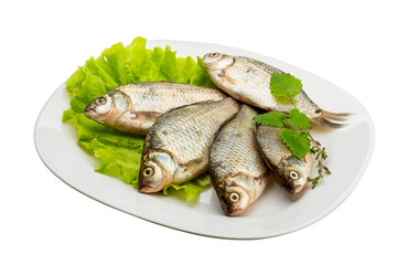 Crucian fish