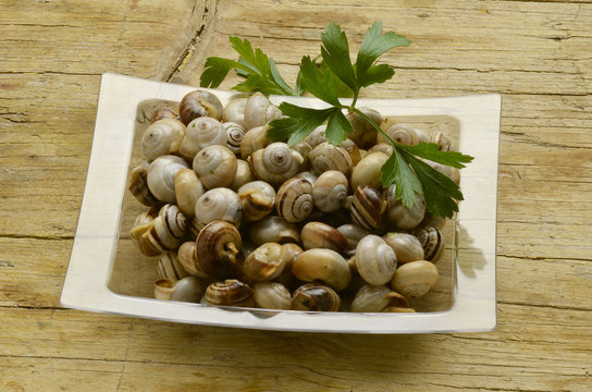 Bovoeti Bovoletti Cucina veneta Snails Lumachine di terra