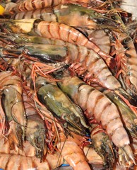Fresh prawns at a fish market in turkey