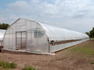 Greenhouse on Organic Farm