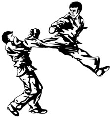 Two tae kwon do fighter