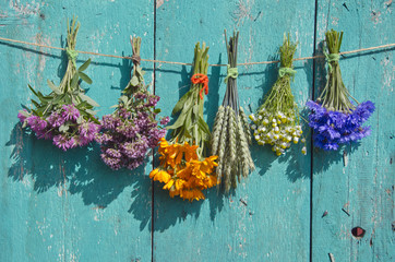 medical flowers and cereal plants bunch on old wooden wall