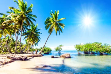 Crédence de cuisine en verre imprimé Caraïbes Vacances de rêve sur une plage solitaire des Caraïbes :)