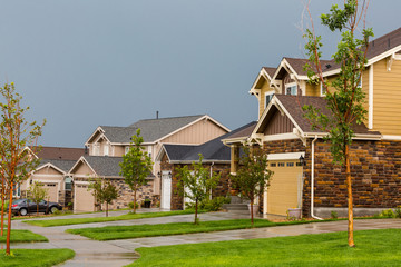 Suburbia © arinahabich