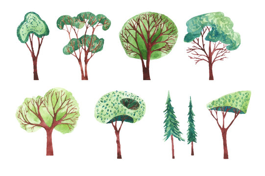 Set of different trees painted by watercolor.