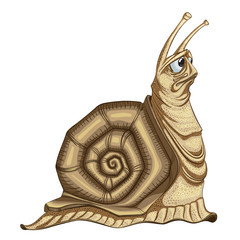 Illustration of the sad  snail on a white background