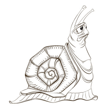 Illustration of the sad  snail on a white background