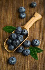 Fresh blueberries in a wooden scoop