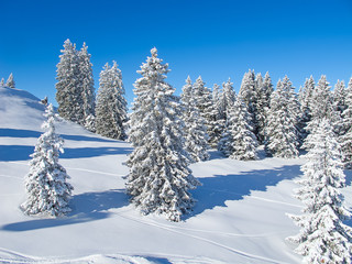 Obraz premium Winter in alps
