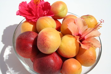 Apricots and nectarines together in glass bowl