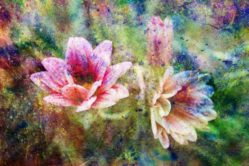 messy colorful watercolor splatter and beautiful pink flowers