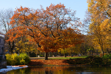 Fototapeta na wymiar autumn park with trees over water