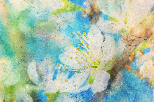 messy watercolor splashes and blooming spring twig