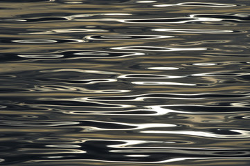 Sunlit Water