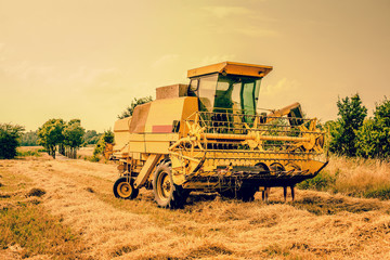 Yellow agricultural harvester machine