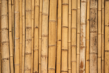 Asian bamboo background surface