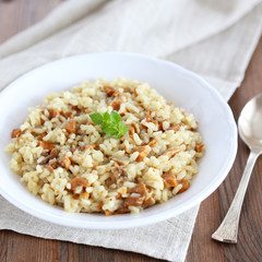 Pilzrisotto