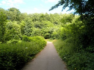 Beautiful Green Trail Germany