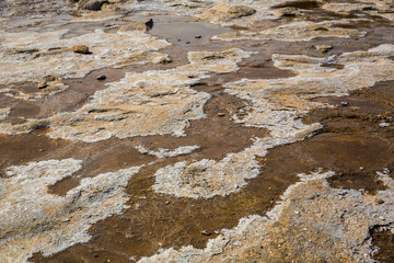 Geothermally active valley in Iceland.