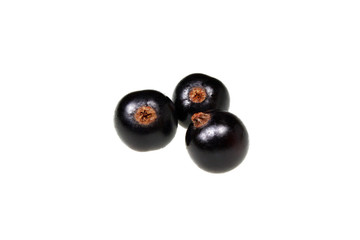 Blackcurrants fruit