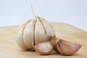 Garlic